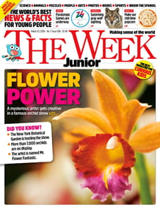 The Week Junior Print+Digital Magazine