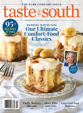 Taste of the South Magazine