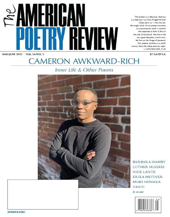 The American Poetry Review-Digital Magazine