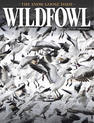 Wildfowl-Digital Magazine