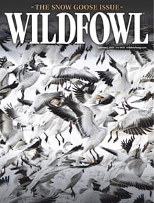 Wildfowl-Digital Magazine
