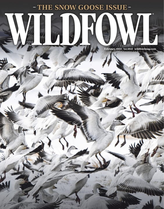 Wildfowl-Digital Magazine