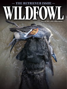 Wildfowl-Digital Magazine