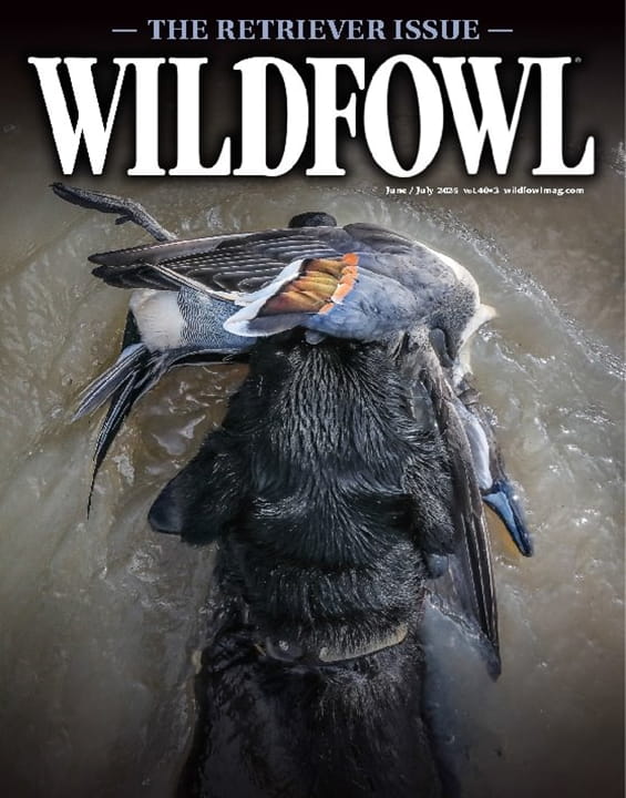 Wildfowl-Digital Magazine