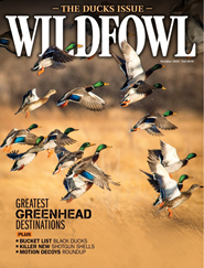 Wildfowl-Digital Magazine