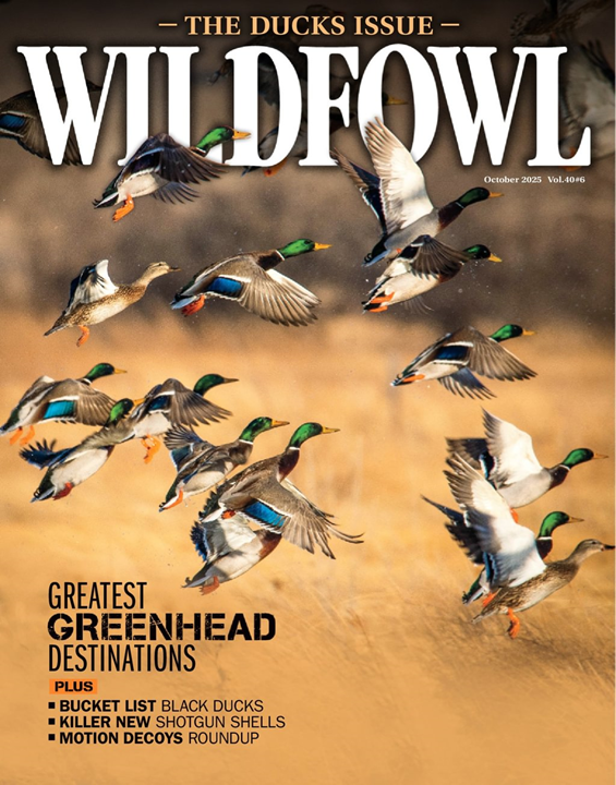 Wildfowl-Digital Magazine