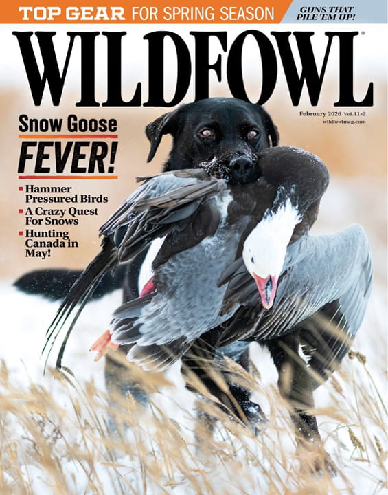 Wildfowl-Digital Magazine