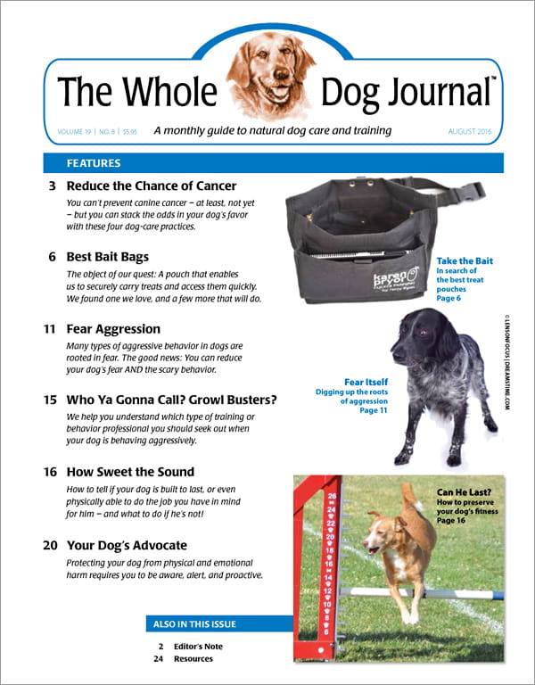 whole dog journal best dog food