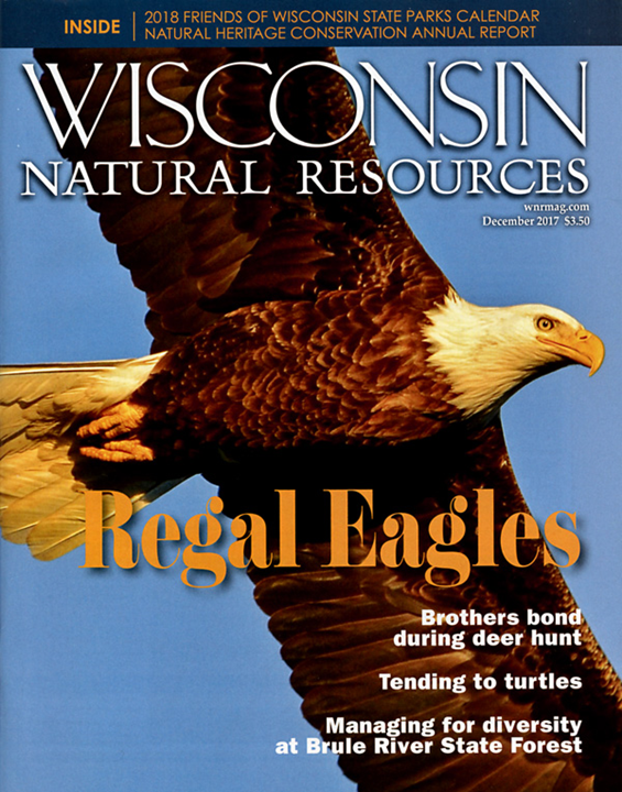 Wisconsin Natural Resources Magazine Wisconsin Natural Resources
