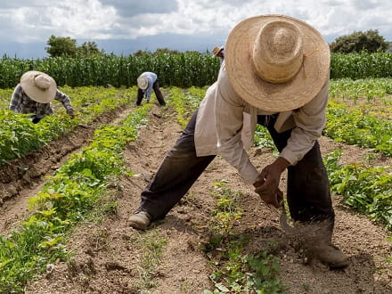 Best Magazines for Farmers