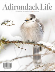 Adirondack Life Magazine