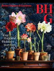 Better Homes & Gardens - Digital Magazine
