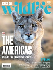 BBC Wildlife Magazine