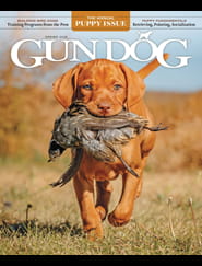Gun Dog-Digital Magazine