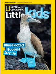 National Geographic Little Kids Magazine