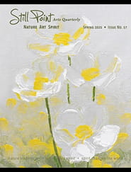 Still Points Quarterly Magazine