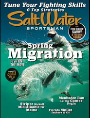 Fishing Magazines Discount Fishing Magazines Subscriptions Okuma beachcaster pro 80 reel worth £29.99 when you. discount fishing magazines subscriptions