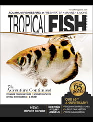 Tropical Fish Hobbyist Magazine