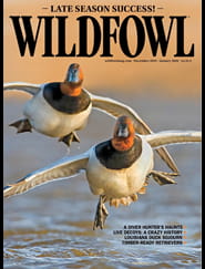 Wildfowl-Digital Magazine