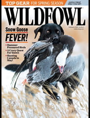 Wildfowl-Digital Magazine